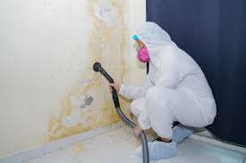 Why You Should Choose Our Mold Remediation Services in Smithville, MO